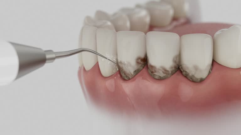 Reliable Dental contractor in New Baltimore, MI by Dentist Open Now